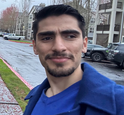 Portrait of Said Mohaddes Sadeqi